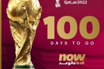 还有1️⃣0️⃣0️⃣天！100秒带你回顾100粒经典的世界杯进球⚽